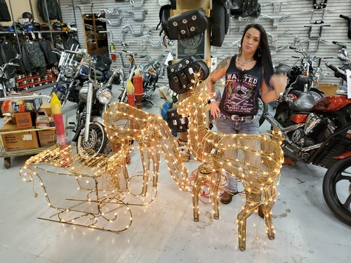 Lighted christmas reindeer - christmas,