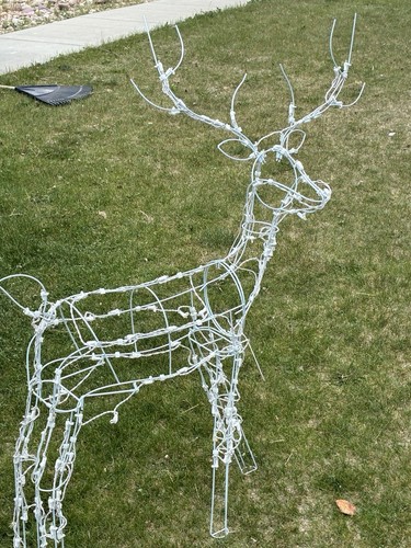 Led lighted reindeer - led,